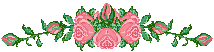arrangement of pink roses